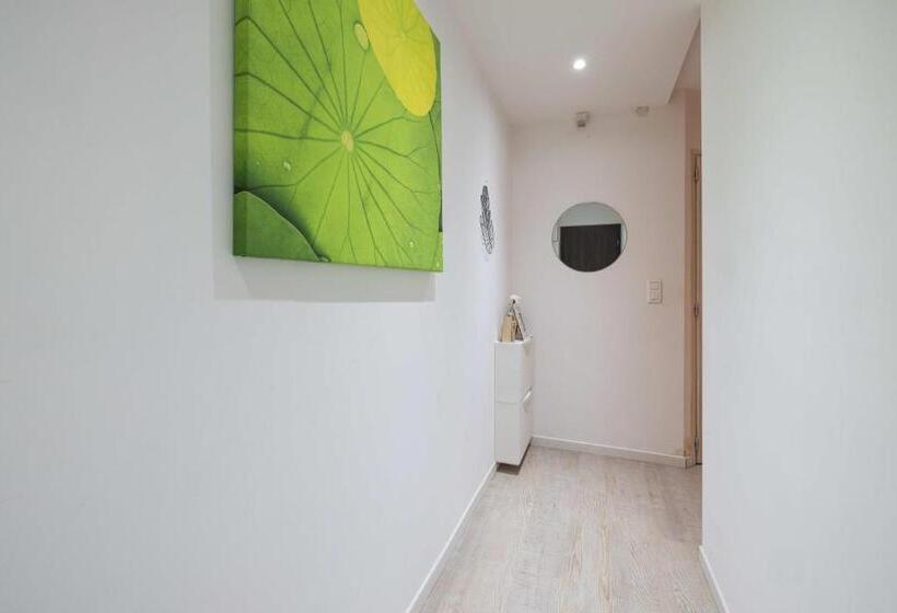 Les Franklins Appartements   Hyper Centre Mulhouse