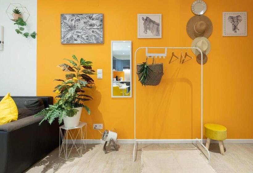 Les Franklins Appartements   Hyper Centre Mulhouse