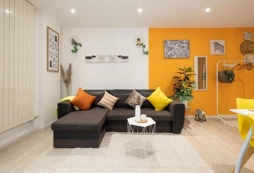 Les Franklins Appartements   Hyper Centre Mulhouse