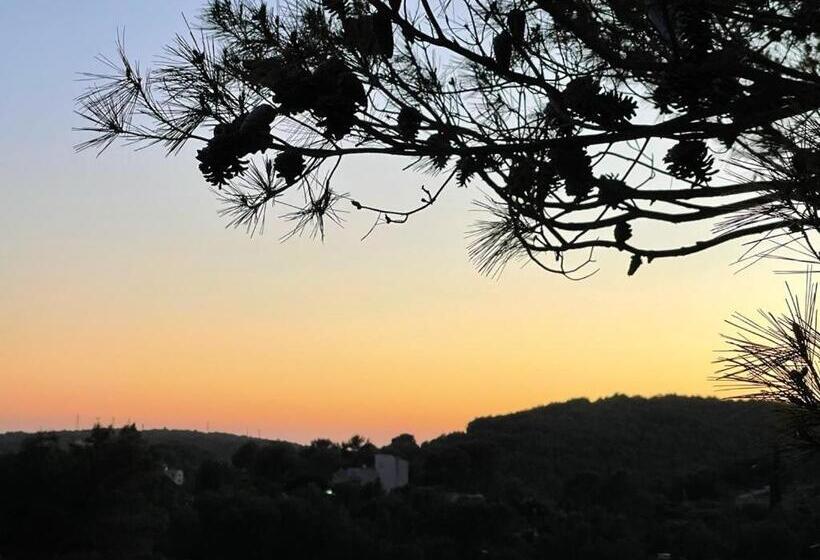 Luxueuse Bastide Provençale De 350 M2