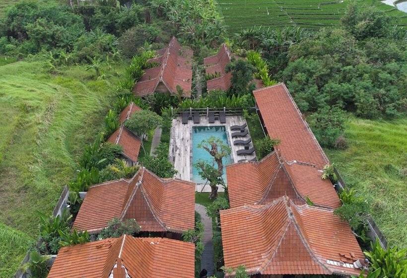 ペンション Bajalo Cottage Canggu