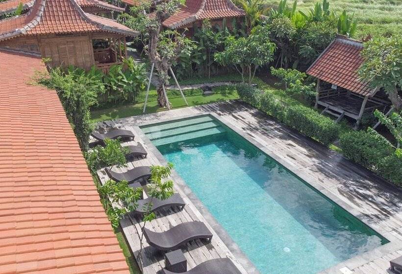 ペンション Bajalo Cottage Canggu