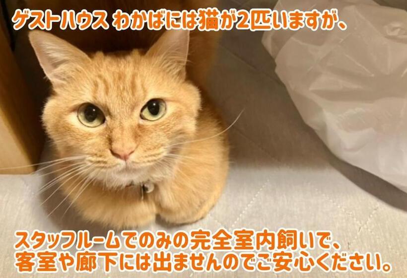 ペンション ゲストハウスわかばguesthouse Wakaba In Iwami