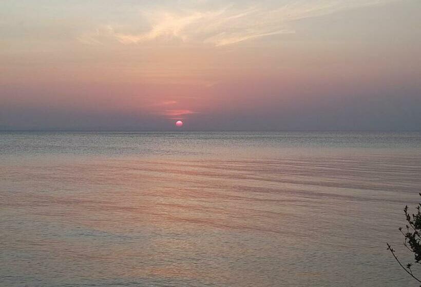 بنسيون Hospedaje La Paloma