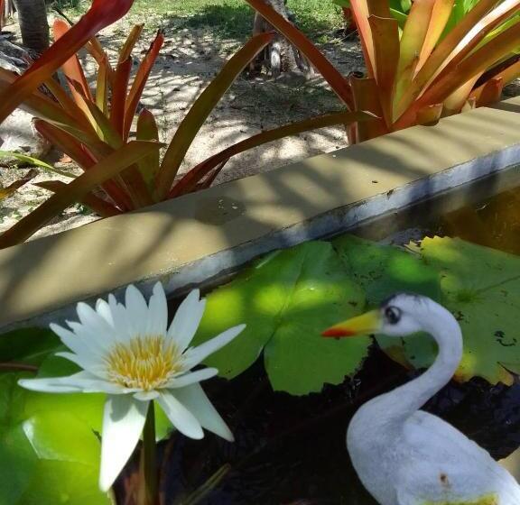 منتجع The Wynn Kohjum