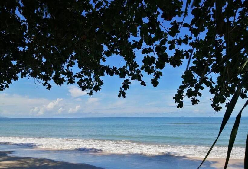 منتجع The Wynn Kohjum