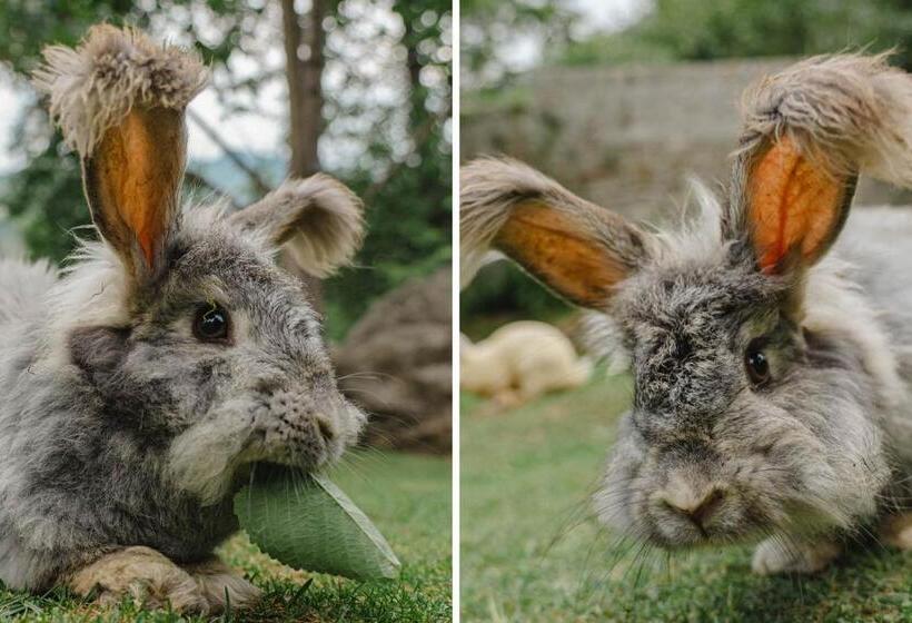 Stayvista At The Waterwillow With Valley View