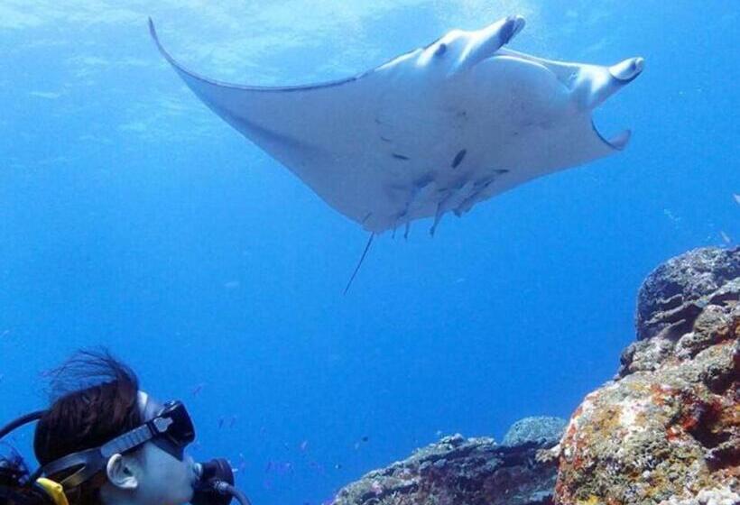 プラスライフ大浜 Room4