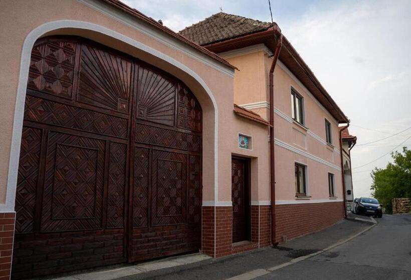 Apartament Panoramic La Casa In Comuna Rasinari