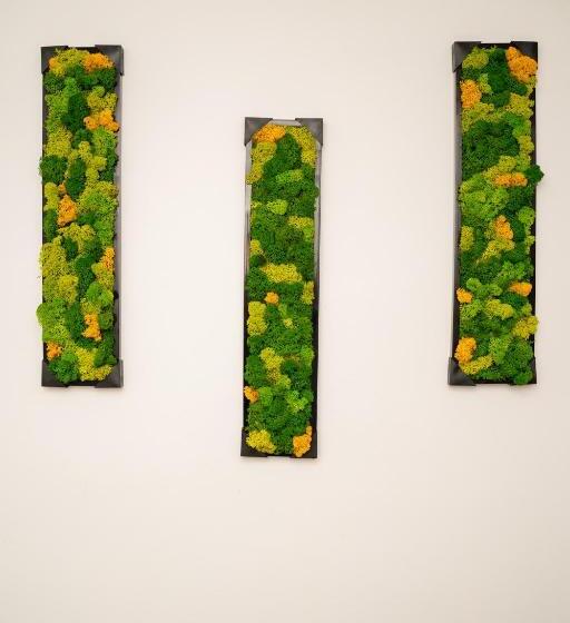 Apartament Panoramic La Casa In Comuna Rasinari