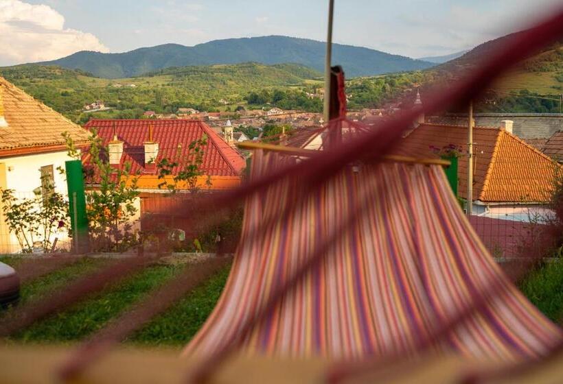 Apartament Panoramic La Casa In Comuna Rasinari