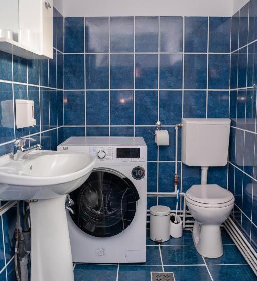 Apartament Panoramic La Casa In Comuna Rasinari