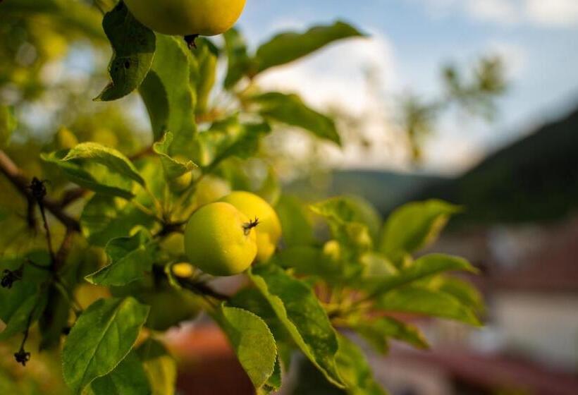 Apartament Panoramic La Casa In Comuna Rasinari