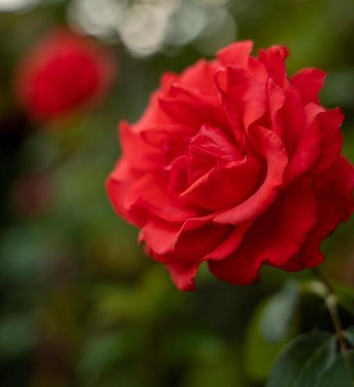 Apartament Panoramic La Casa In Comuna Rasinari