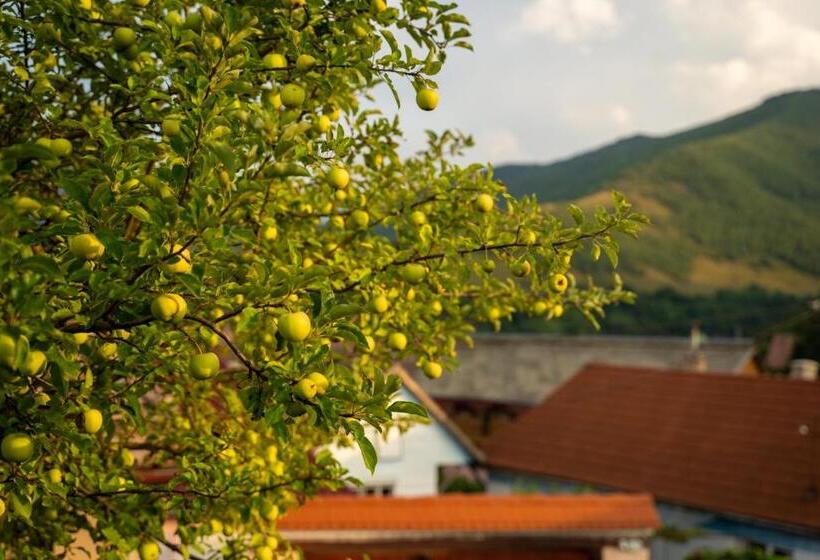 Apartament Panoramic La Casa In Comuna Rasinari