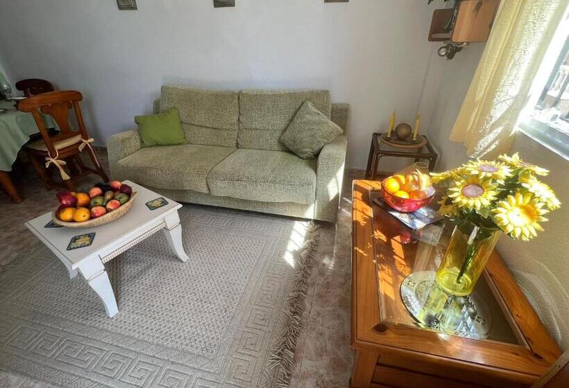 Apartment Elaine La Zenia