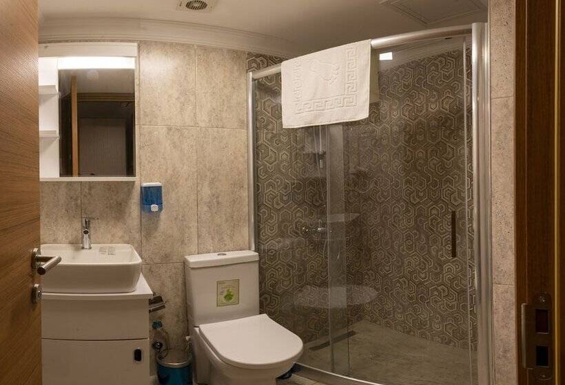 Bazaar Hotels Old City