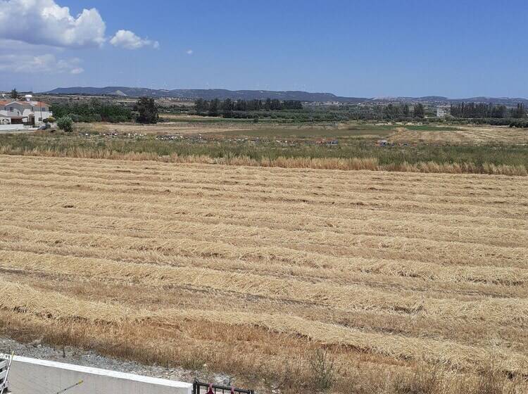 Beautiful 2 Bed House In Mandria Paphos