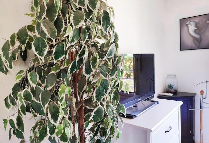 Bella Vista Yourhosthelper