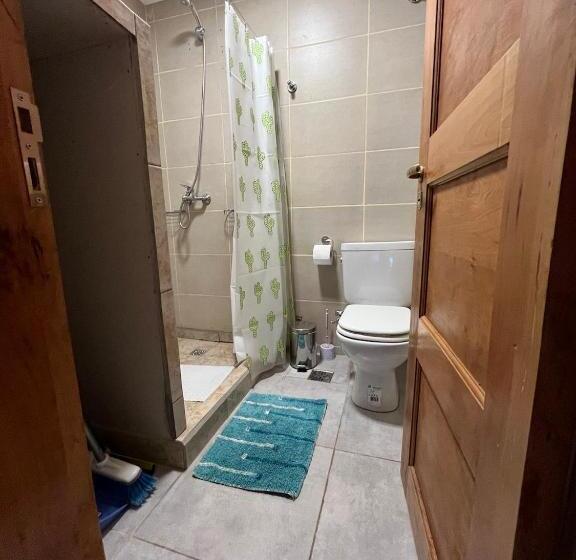 Buena Vista Trevelin Ii