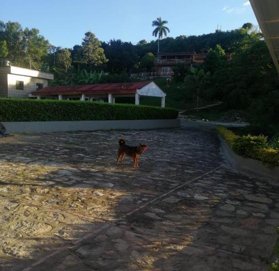 Finca Hotel   Piscina La Johanna