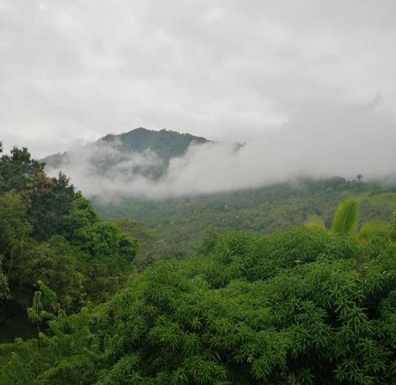 Finca Hotel   Piscina La Johanna