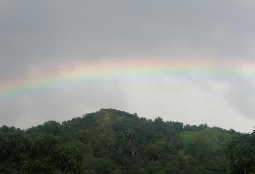Finca Hotel   Piscina La Johanna