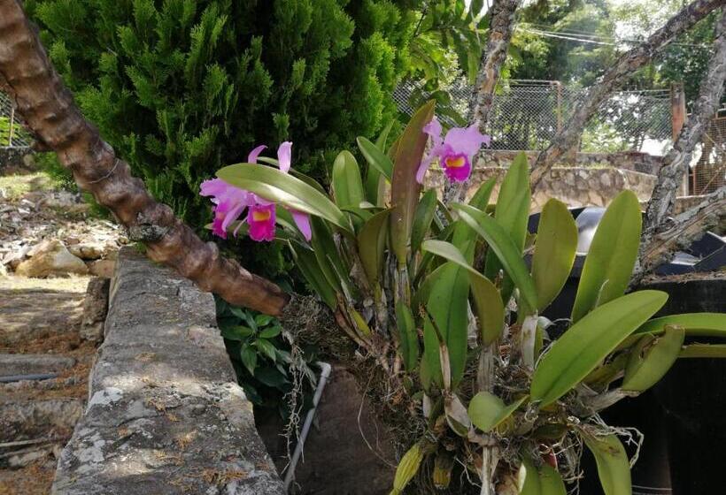 Finca Hotel   Piscina La Johanna