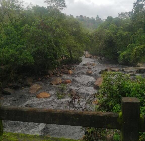 Finca Hotel   Piscina La Johanna