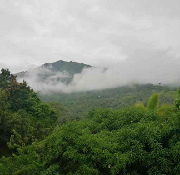Finca Hotel   Piscina La Johanna