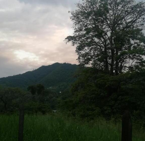 Finca Hotel   Piscina La Johanna