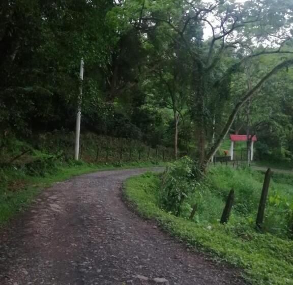 Finca Hotel   Piscina La Johanna