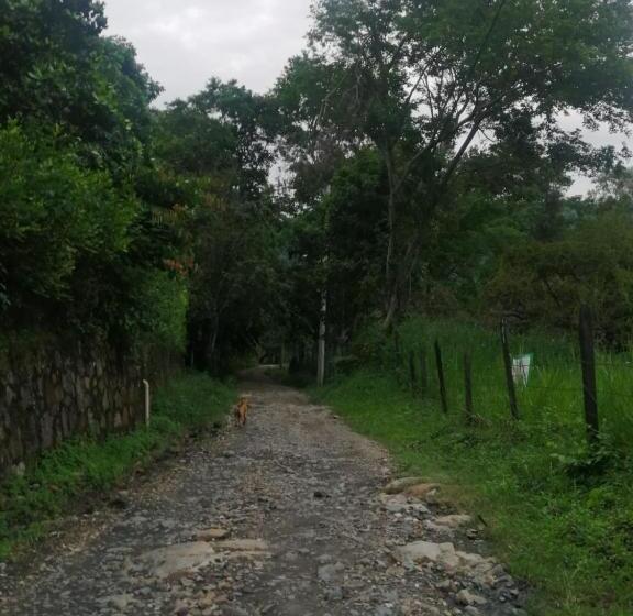 Finca Hotel   Piscina La Johanna