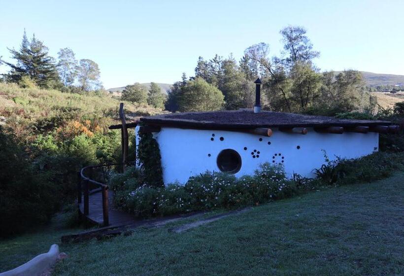 Half Moon Hollow Eco Cottage