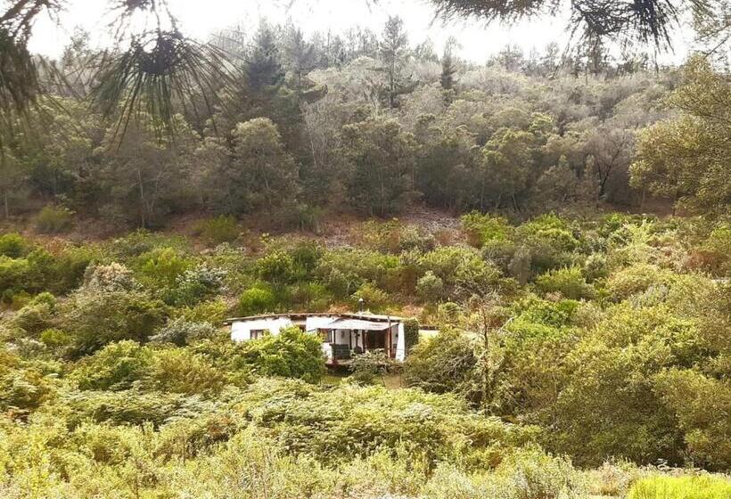 Half Moon Hollow Eco Cottage