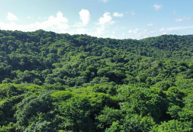 هتل Palomar Ecocabaña