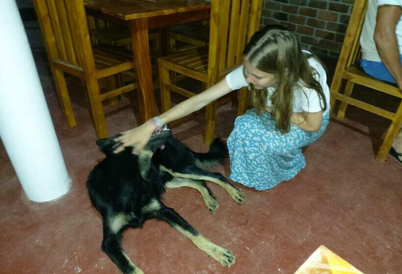 Отель Tree Garden Wilpaththu Nochchiyagma Anuradhapura
