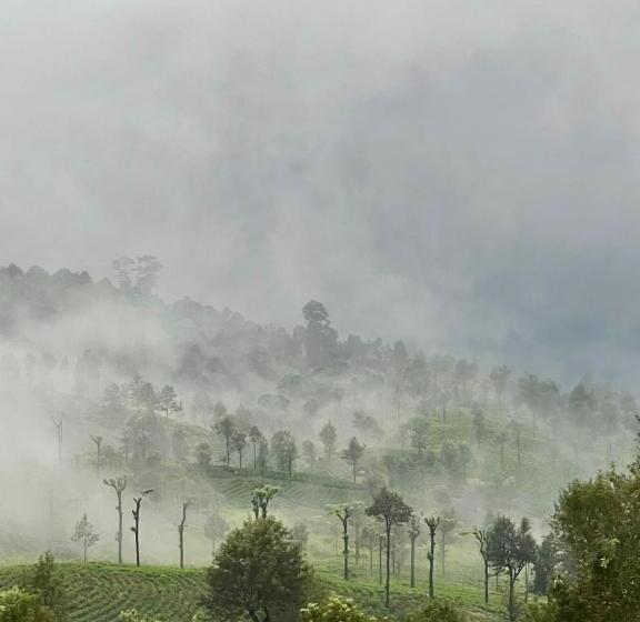 酒店 Vantage Hills Haputale