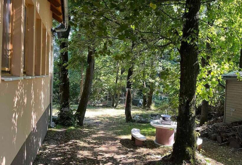 Kincs Apartman és Jurtaszállás