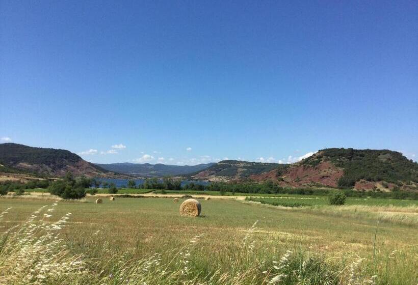 La Bohème. Maison De Village Cosy, Jardin Et Spa