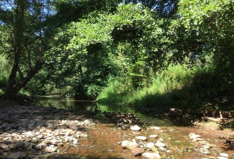 La Bohème. Maison De Village Cosy, Jardin Et Spa