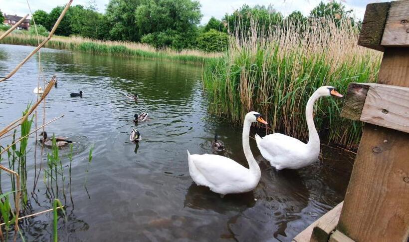 Larkspur House In West Midlands