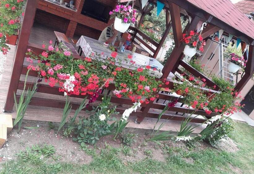 بنسيون Casa Alex