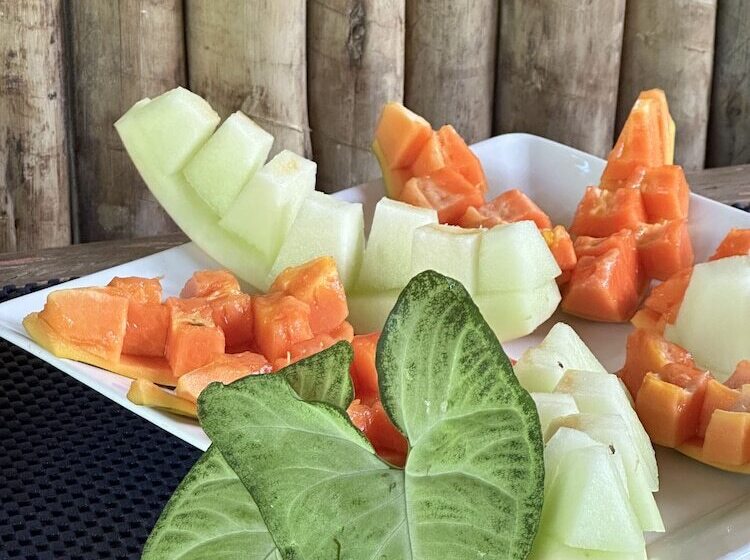 پانسیون Casa Das águas Trancoso