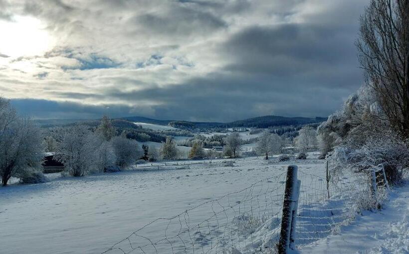 بنسيون U Dvou Rysů