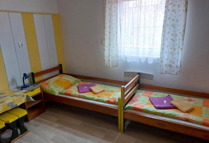 بنسيون U Dvou Rysů