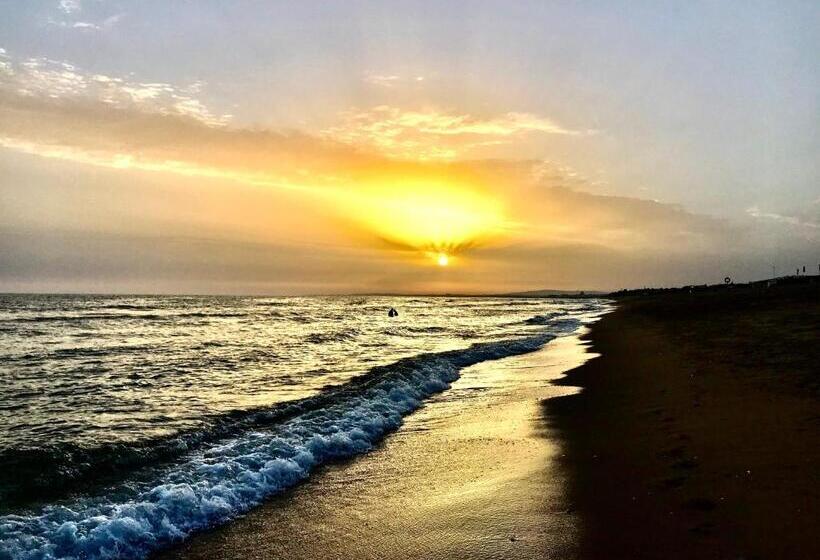 Penthouse Apartment With Large Terrace, Pool & Garden