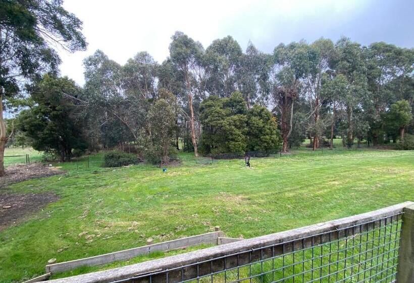 Richo’s Retreat, 1 Bed Unit Near Great Ocean Road