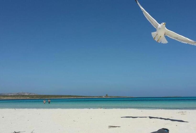 Terrazza Capofalcone