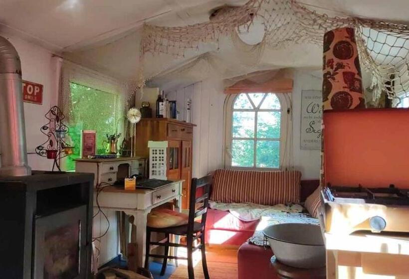 Trailer   Dschungel Lodge